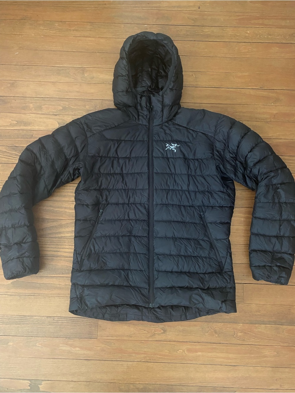 Arc'teryx Men's Cerium Lt Hoody Medium Black With Stuff Sac